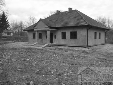 Zdjęcie 10074091
