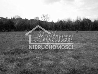 Zdjęcie 10074246