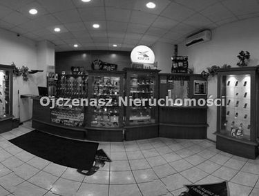 Zdjęcie 10077247