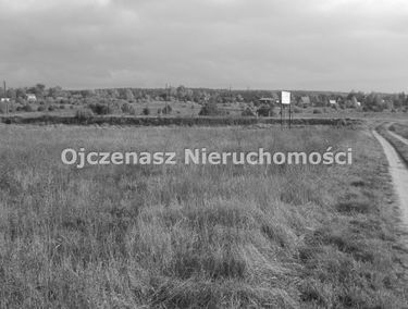 Zdjęcie 10077289