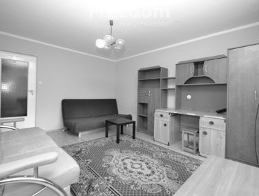 Zdjęcie 10336145