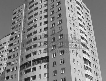 Zdjęcie 12555149