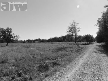 Zdjęcie 10461302