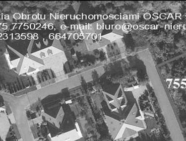 Zdjęcie 10562673