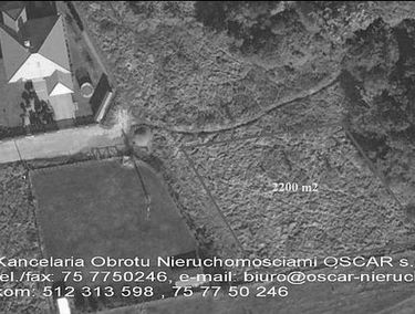 Zdjęcie 10676304