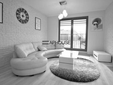 Zdjęcie 10807269