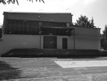 Zdjęcie 11316117