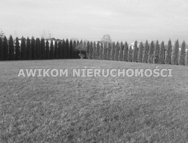 Zdjęcie 11347196
