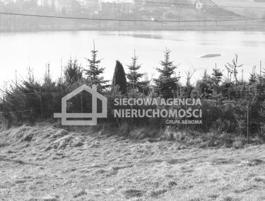 Zdjęcie 13762255
