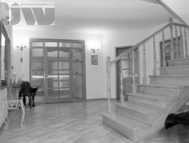 Zdjęcie 11480908