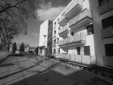 Zdjęcie 11579705