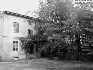 Zdjęcie 11670465