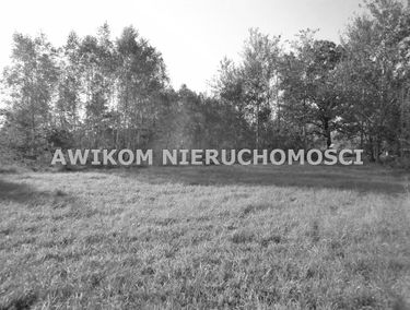 Zdjęcie 11861493