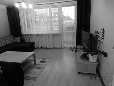 Zdjęcie 11936810