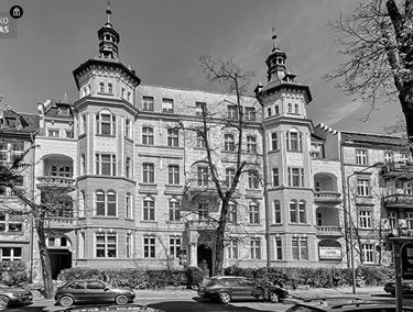 Zdjęcie 12015730