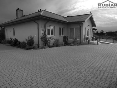Zdjęcie 12220370