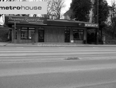 Zdjęcie 12220521