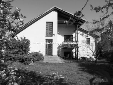 Zdjęcie 12286436