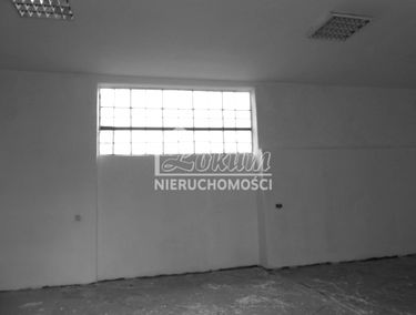 Zdjęcie 12298010