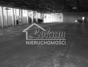 Zdjęcie 12298396