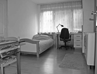 Zdjęcie 12311739