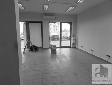 Zdjęcie 12311816
