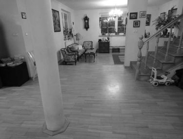 Zdjęcie 12362509