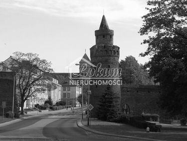 Zdjęcie 12386039