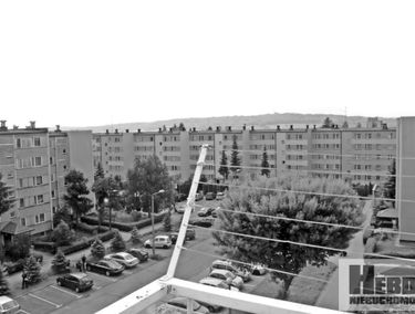 Zdjęcie 12401818
