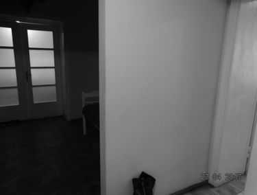 Zdjęcie 12428773