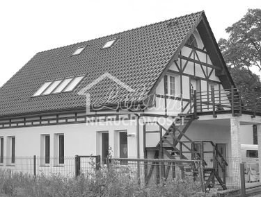 Zdjęcie 12434856