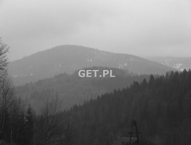 Zdjęcie 12441593