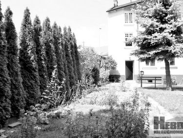 Zdjęcie 12505562