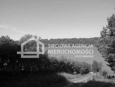 Zdjęcie 12523655