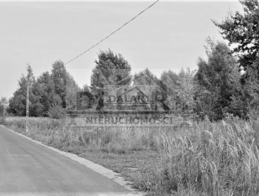 Zdjęcie 12552764