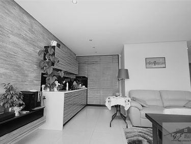 Zdjęcie 12642898