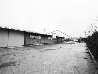 Zdjęcie 12643177