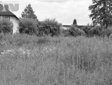 Zdjęcie 12665716