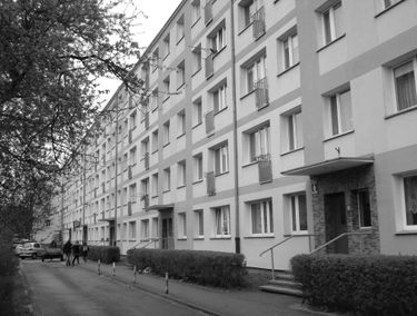 Zdjęcie 12666146