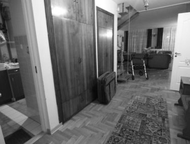 Zdjęcie 12723105