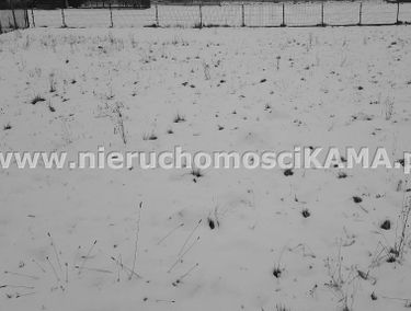 Zdjęcie 12779532