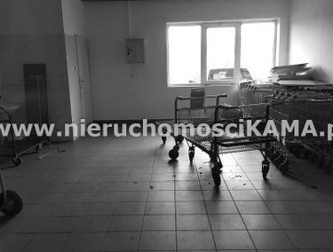 Zdjęcie 12779980
