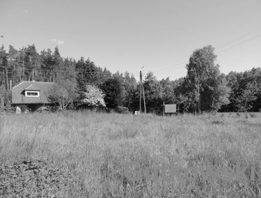 Zdjęcie 12782151