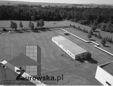 Zdjęcie 12785837