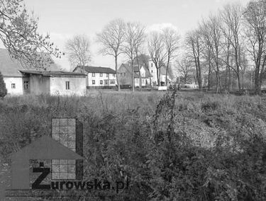 Zdjęcie 12787516