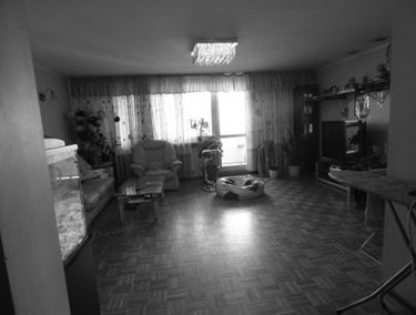 Zdjęcie 12792511