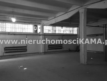 Zdjęcie 12815300