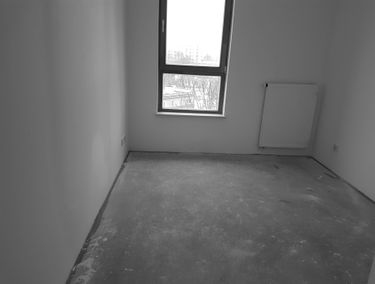 Zdjęcie 12830477