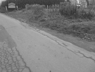 Zdjęcie 12830623