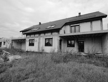 Zdjęcie 12857713